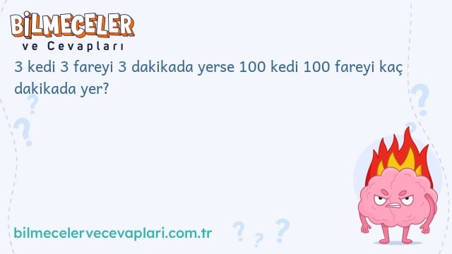 3 kedi 3 fareyi 3 dakikada yerse 100 kedi 100 fareyi kaç dakikada yer?