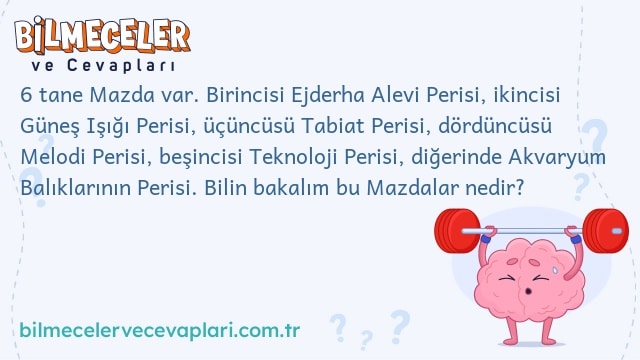 6 tane Mazda var. Birincisi Ejderha Alevi Perisi, ikincisi Güneş Işığı Perisi, üçüncüsü Tabiat Perisi, dördüncüsü Melodi Perisi, beşincisi Teknoloji Perisi, diğerinde Akvaryum Balıklarının Perisi. Bilin bakalım bu Mazdalar nedir?