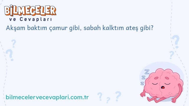 Akşam baktım çamur gibi, sabah kalktım ateş gibi?