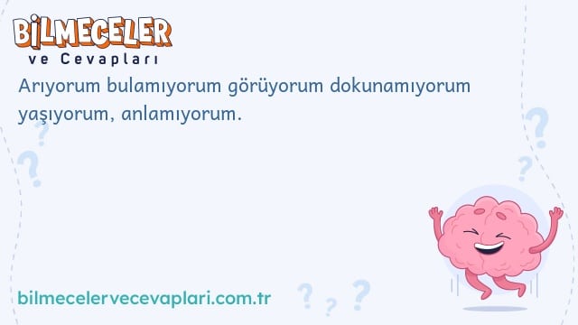 Arıyorum bulamıyorum görüyorum dokunamıyorum yaşıyorum, anlamıyorum.