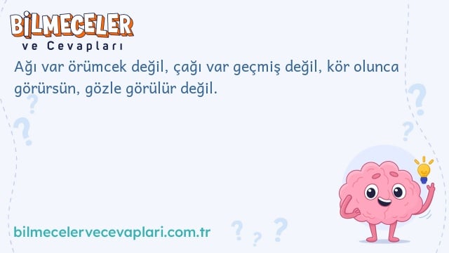 Ağı var örümcek değil, çağı var geçmiş değil, kör olunca görürsün, gözle görülür değil.