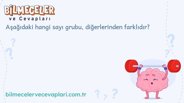 Aşağıdaki hangi sayı grubu, diğerlerinden farklıdır?