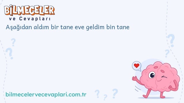 Aşağıdan aldım bir tane eve geldim bin tane