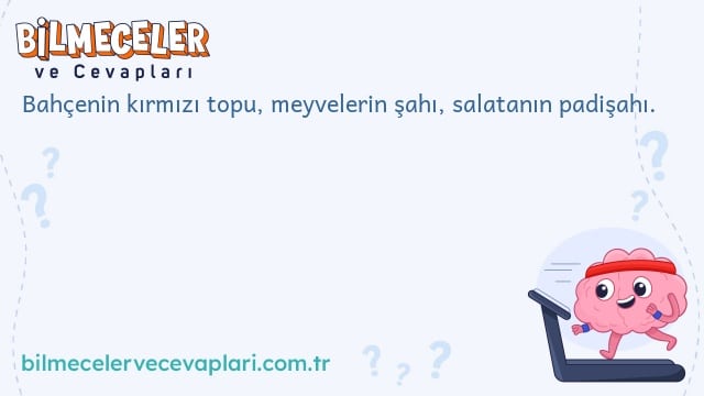 Bahçenin kırmızı topu, meyvelerin şahı, salatanın padişahı.