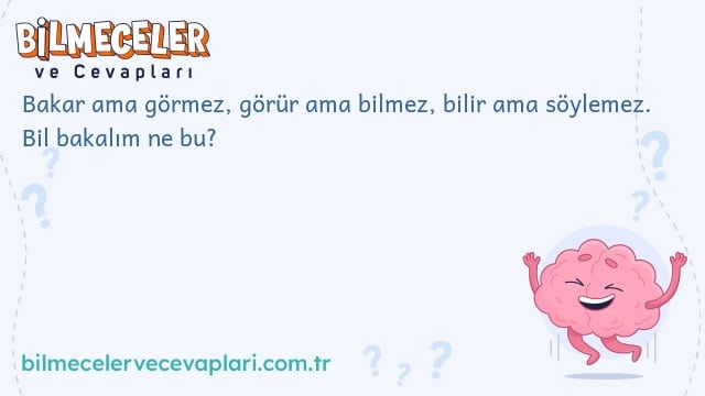 Bakar ama görmez, görür ama bilmez, bilir ama söylemez. Bil bakalım ne bu?