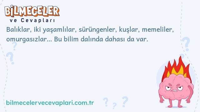Balıklar, iki yaşamlılar, sürüngenler, kuşlar, memeliler, omurgasızlar… Bu bilim dalında dahası da var.