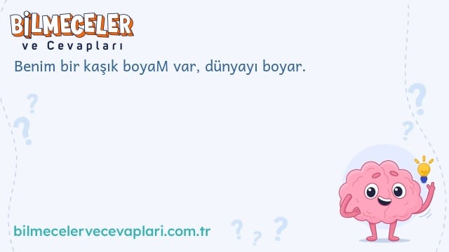 Benim bir kaşık boyaM var, dünyayı boyar.