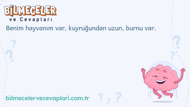 Benim hayvanım var, kuyruğundan uzun, burnu var.