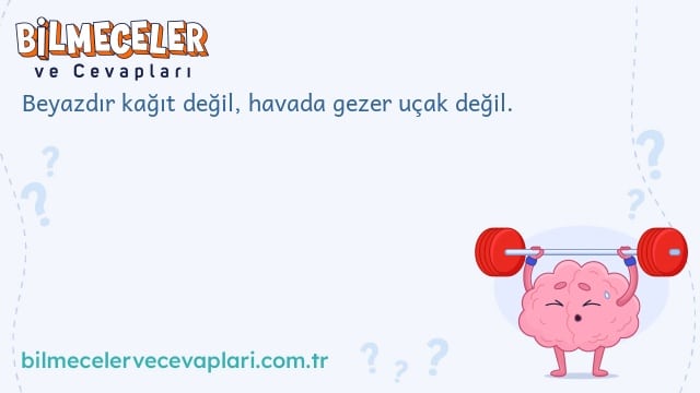 Beyazdır kağıt değil, havada gezer uçak değil.