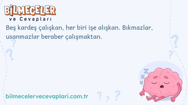 Beş kardeş çalışkan, her biri işe alışkan. Bıkmazlar, usanmazlar beraber çalışmaktan.