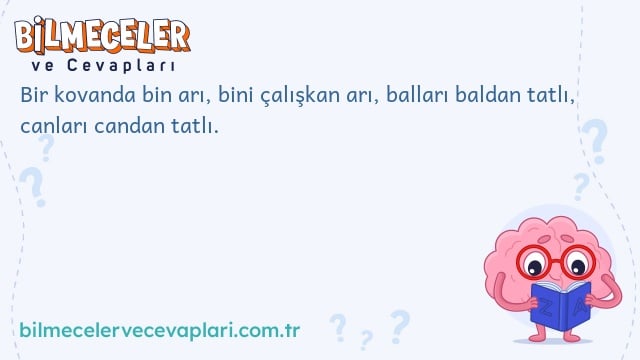 Bir kovanda bin arı, bini çalışkan arı, balları baldan tatlı, canları candan tatlı.