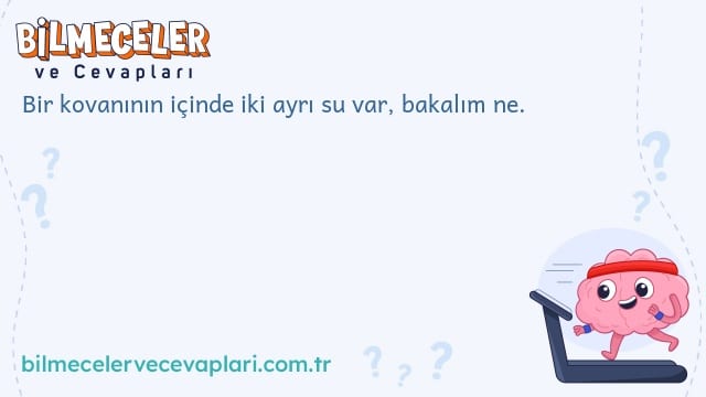 Bir kovanının içinde iki ayrı su var, bakalım ne.