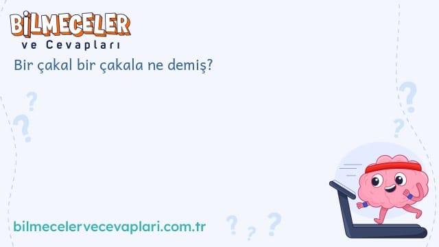 Bir çakal bir çakala ne demiş?