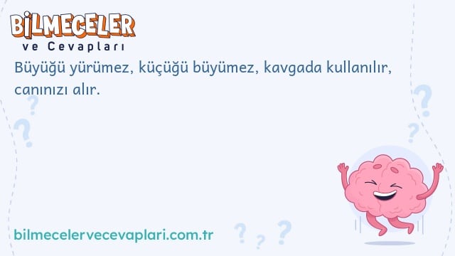 Büyüğü yürümez, küçüğü büyümez, kavgada kullanılır, canınızı alır.