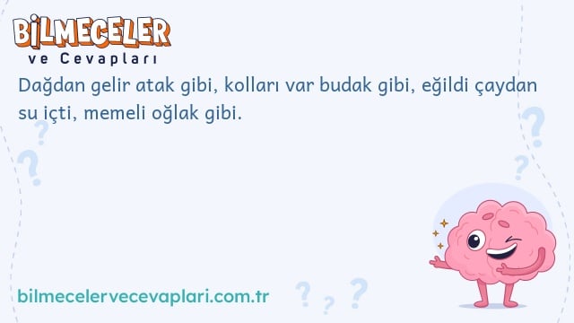 Dağdan gelir atak gibi, kolları var budak gibi, eğildi çaydan su içti, memeli oğlak gibi.