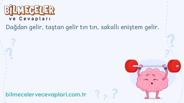 Dağdan gelir, taştan gelir tın tın, sakallı eniştem gelir.