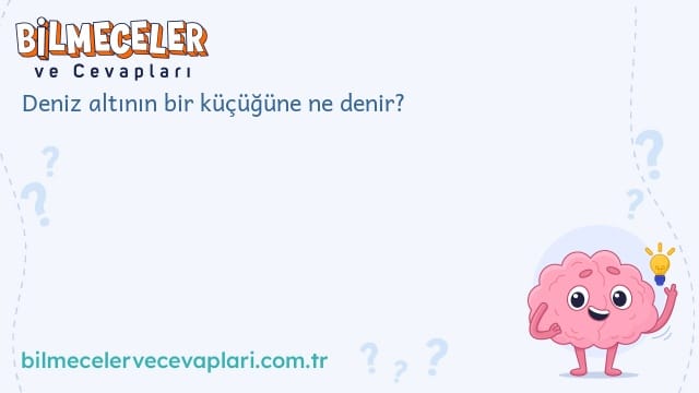 Deniz altının bir küçüğüne ne denir?