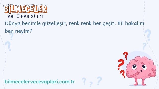 Dünya benimle güzelleşir, renk renk her çeşit. Bil bakalım ben neyim?