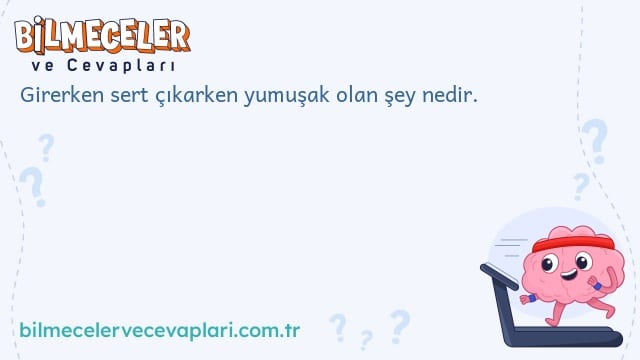 Girerken sert çıkarken yumuşak olan şey nedir.