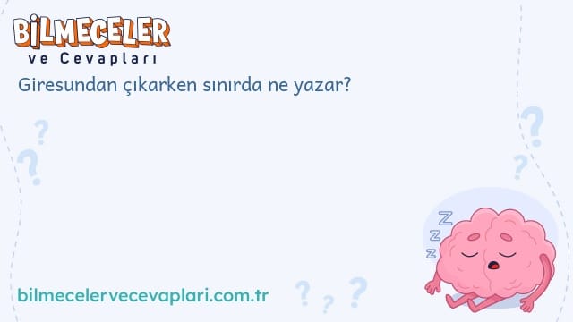 Giresundan çıkarken sınırda ne yazar?