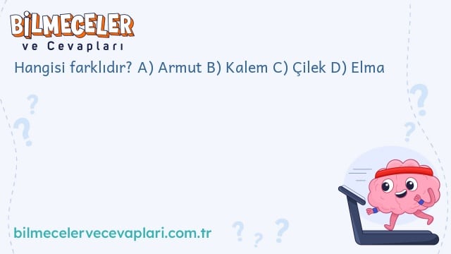 Hangisi farklıdır? A) Armut  B) Kalem  C) Çilek  D) Elma