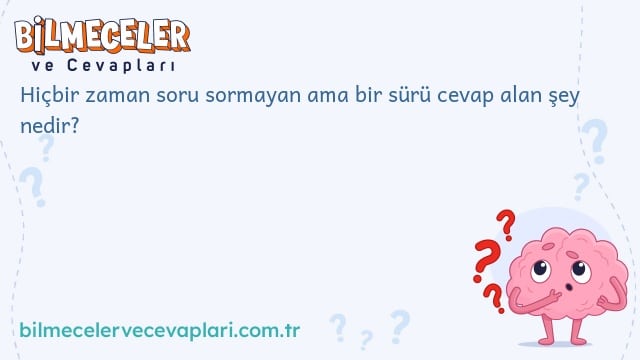 Hiçbir zaman soru sormayan ama bir sürü cevap alan şey nedir?