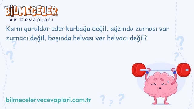 Karnı guruldar eder kurbağa değil, ağzında zurnası var zurnacı değil, başında helvası var helvacı değil?