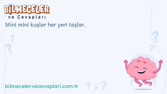 Mini mini kuşlar her yeri taşlar.