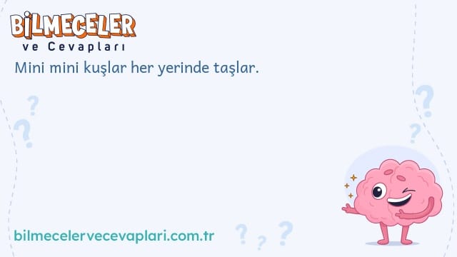 Mini mini kuşlar her yerinde taşlar.