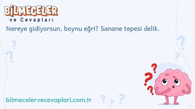 Nereye gidiyorsun, boynu eğri? Sanane tepesi delik.