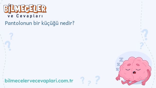 Pantolonun bir küçüğü nedir?