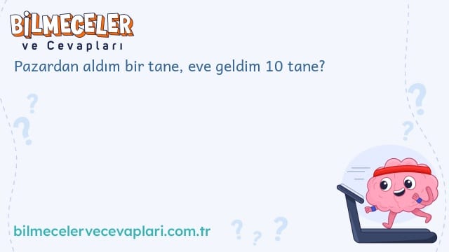 Pazardan aldım bir tane, eve geldim 10 tane?