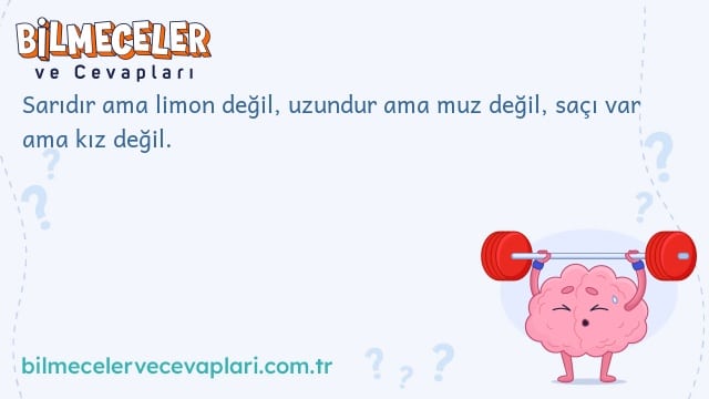 Sarıdır ama limon değil, uzundur ama muz değil, saçı var ama kız değil.