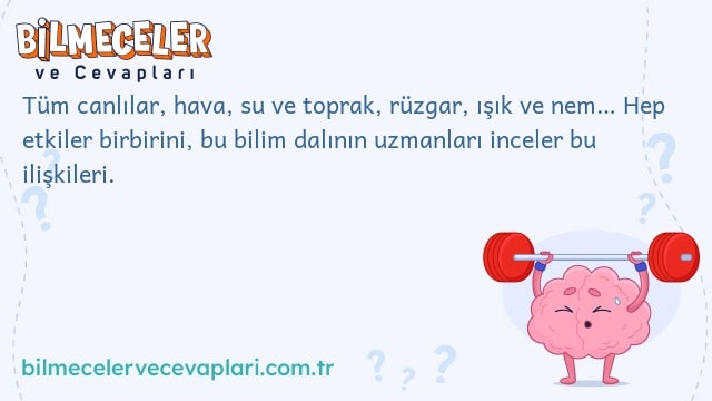 Tüm canlılar, hava, su ve toprak, rüzgar, ışık ve nem… Hep etkiler birbirini, bu bilim dalının uzmanları inceler bu ilişkileri.