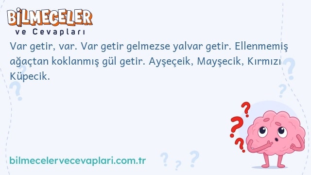 Var getir, var. Var getir gelmezse yalvar getir. Ellenmemiş ağaçtan koklanmış gül getir. Ayşeçeik, Mayşecik, Kırmızı Küpecik.