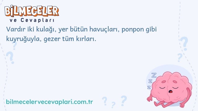 Vardır iki kulağı, yer bütün havuçları, ponpon gibi kuyruğuyla, gezer tüm kırları.