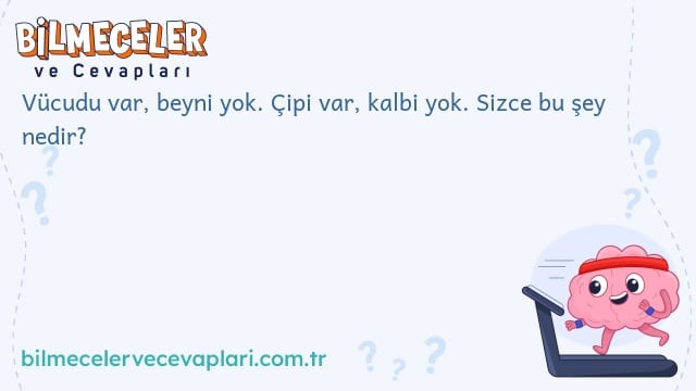 Vücudu var, beyni yok. Çipi var, kalbi yok. Sizce bu şey nedir?