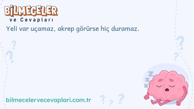 Yeli var uçamaz, akrep görürse hiç duramaz.