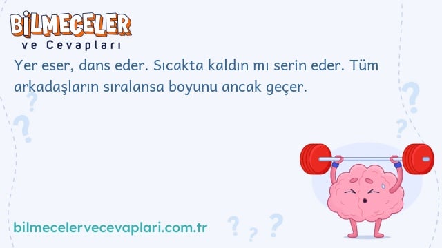 Yer eser, dans eder. Sıcakta kaldın mı serin eder. Tüm arkadaşların sıralansa boyunu ancak geçer.