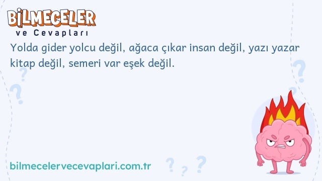 Yolda gider yolcu değil, ağaca çıkar insan değil, yazı yazar kitap değil, semeri var eşek değil.