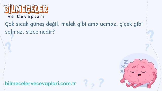 Çok sıcak güneş değil, melek gibi ama uçmaz, çiçek gibi solmaz, sizce nedir?