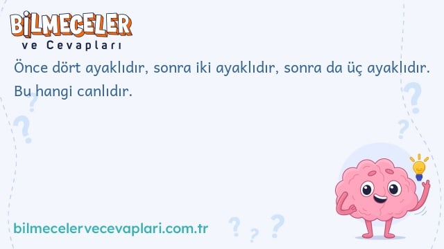 Önce dört ayaklıdır, sonra iki ayaklıdır, sonra da üç ayaklıdır. Bu hangi canlıdır.