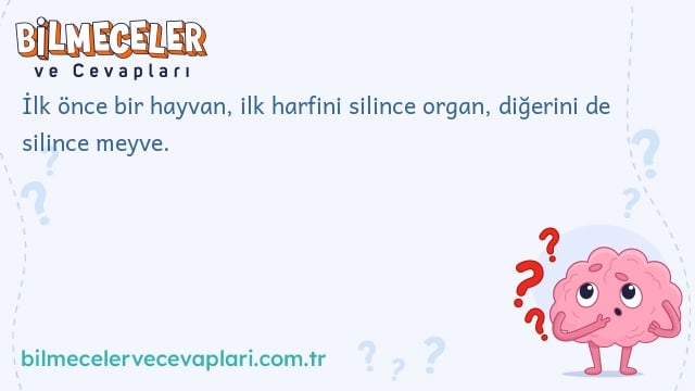 İlk önce bir hayvan, ilk harfini silince organ, diğerini de silince meyve.