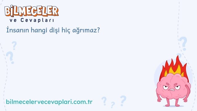 İnsanın hangi dişi hiç ağrımaz?