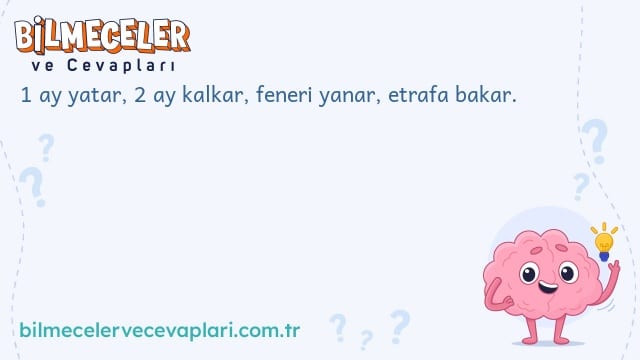 1 ay yatar, 2 ay kalkar, feneri yanar, etrafa bakar.