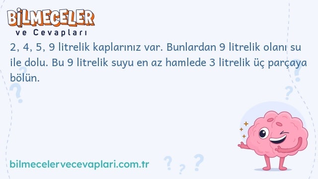 2, 4, 5, 9 litrelik kaplarınız var. Bunlardan 9 litrelik olanı su ile dolu. Bu 9 litrelik suyu en az hamlede 3 litrelik üç parçaya bölün.