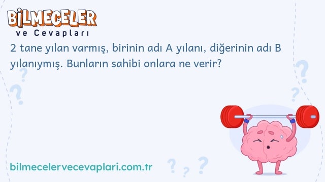 2 tane yılan varmış, birinin adı A yılanı, diğerinin adı B yılanıymış. Bunların sahibi onlara ne verir?