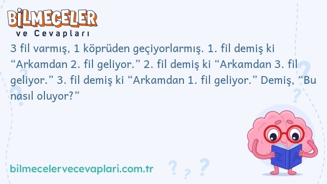 3 fil varmış, 1 köprüden geçiyorlarmış. 1. fil demiş ki “Arkamdan 2. fil geliyor.” 2. fil demiş ki “Arkamdan 3. fil geliyor.” 3. fil demiş ki “Arkamdan 1. fil geliyor.” Demiş, “Bu nasıl oluyor?”