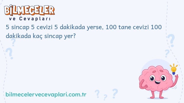 5 sincap 5 cevizi 5 dakikada yerse, 100 tane cevizi 100 dakikada kaç sincap yer?