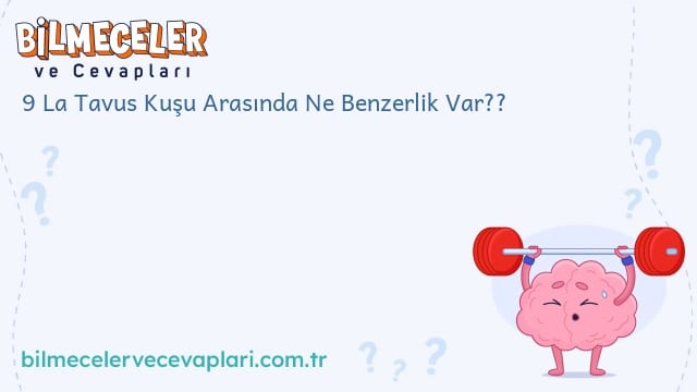 9 La Tavus Kuşu Arasında Ne Benzerlik Var??